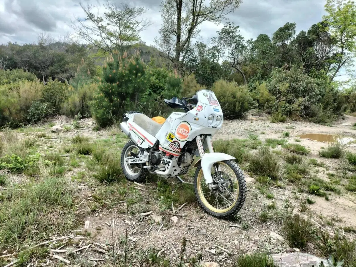 Cagiva Elefant 900 AC (1993 - 98) (7)