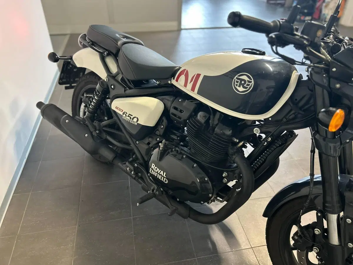 Royal Enfield Shotgun 650 (2024 - 26) (8)