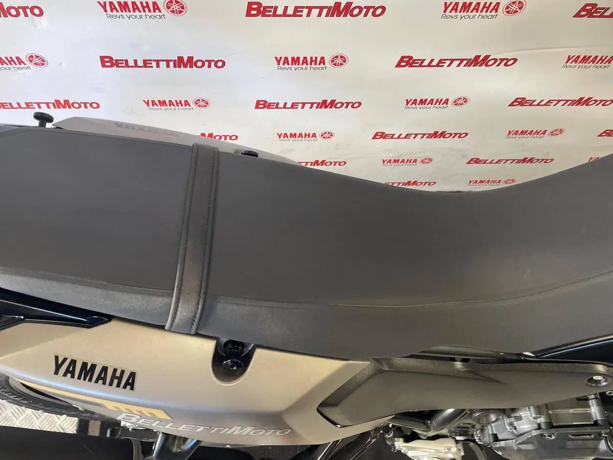 Yamaha Ténéré 700 (2025 - 26) (7)