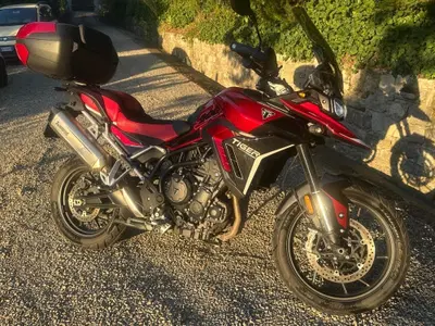 Triumph Tiger 900 GT Pro (2024 - 26) usata