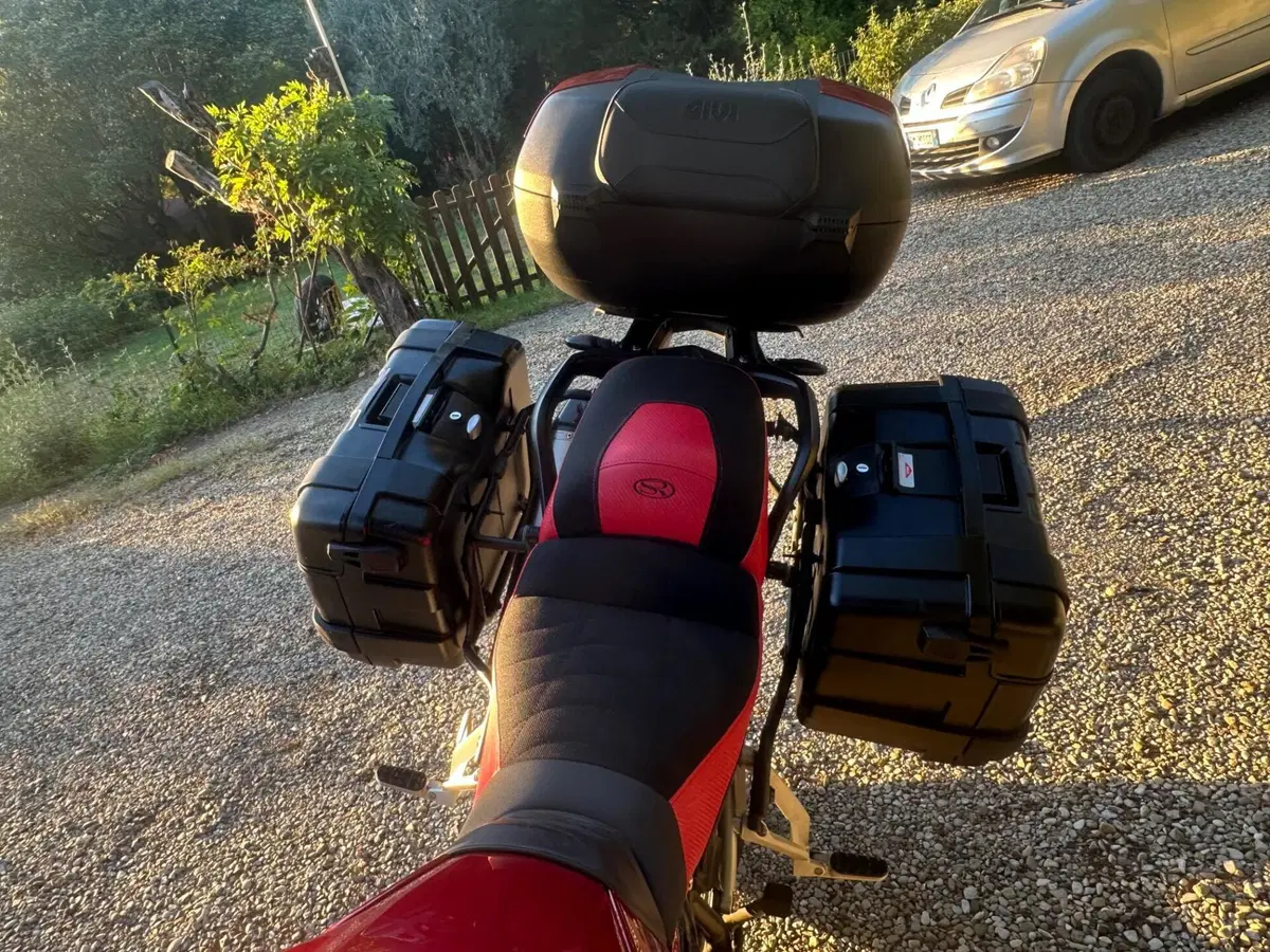 Triumph Tiger 900 GT Pro (2024 - 26) (7)
