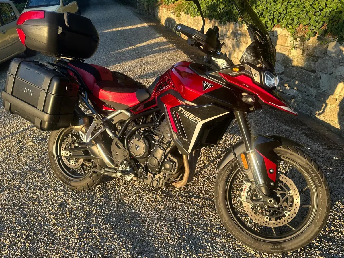 Triumph Tiger 900 GT Pro (2024 - 26) (8)