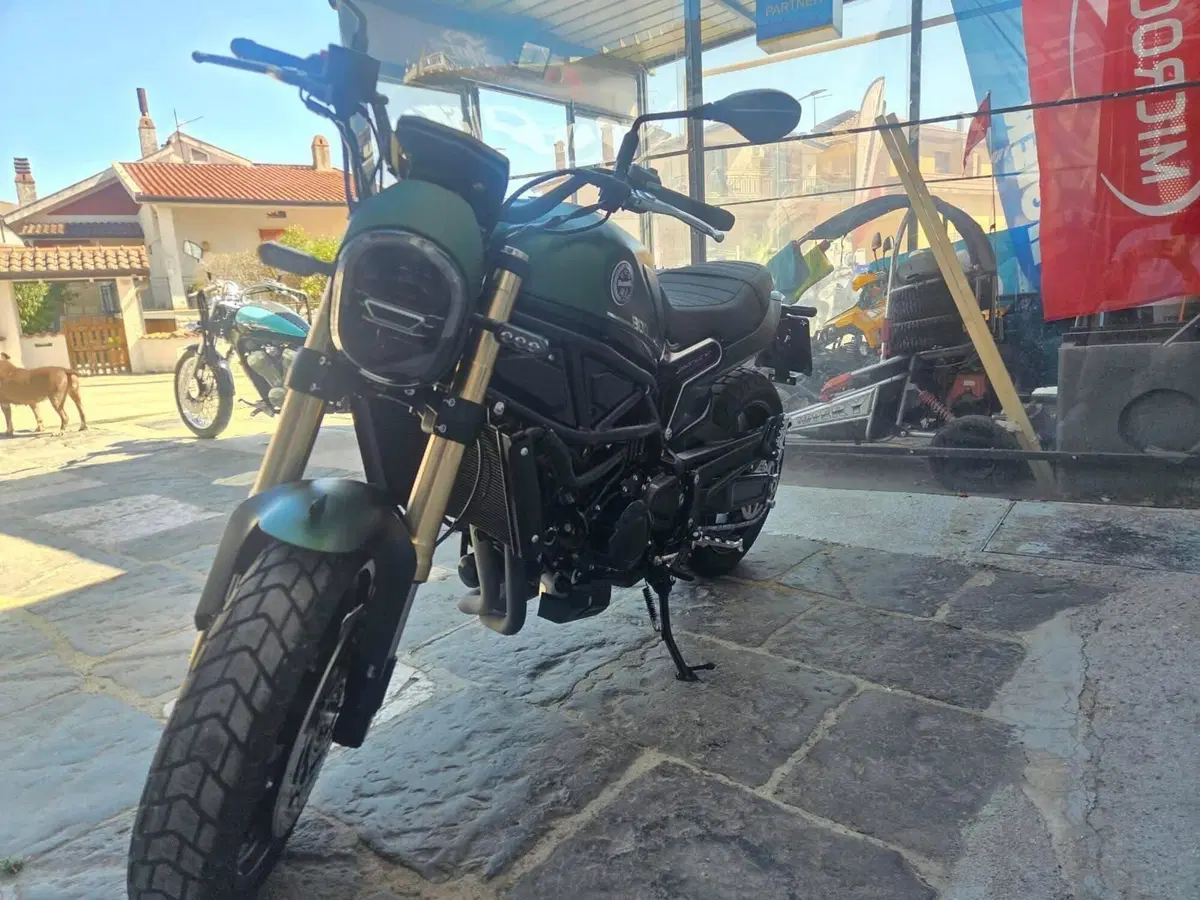Benelli Leoncino 800 (2022 - 26) (9)