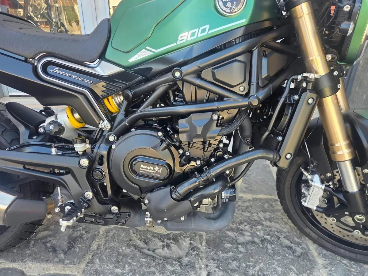 Benelli Leoncino 800 (2022 - 26) (12)