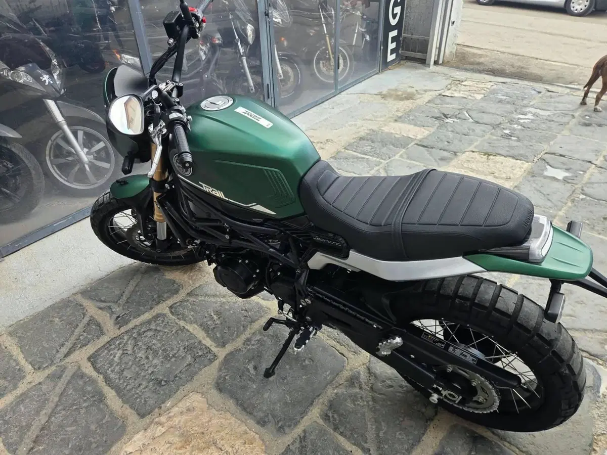 Benelli Leoncino 800 Trail (2022 - 26) (5)
