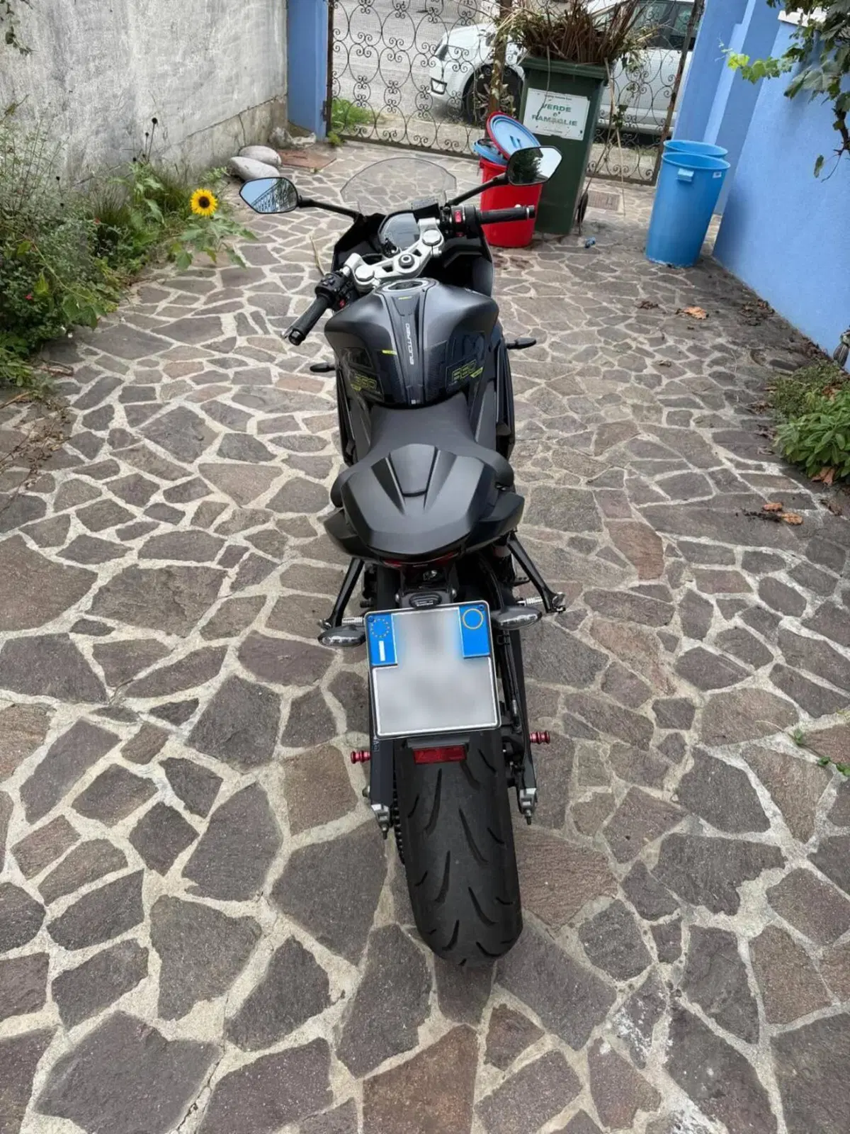 Triumph Daytona 660 (2024 - 26) (3)
