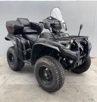 Yamaha Grizzly 700 FI usata