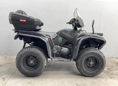 Yamaha Grizzly 700 FI usata