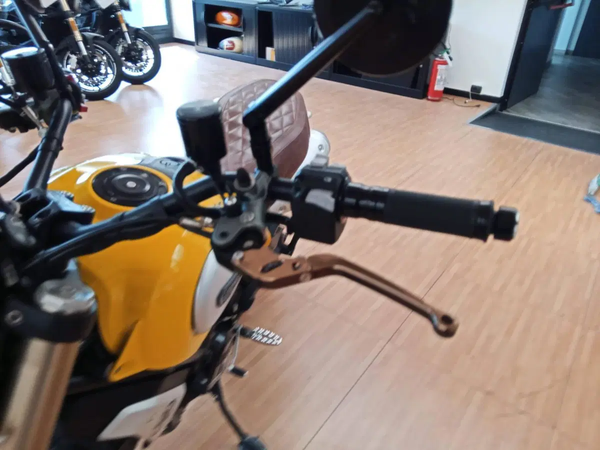 Ducati Scrambler 1100 (2018 - 20) (2)