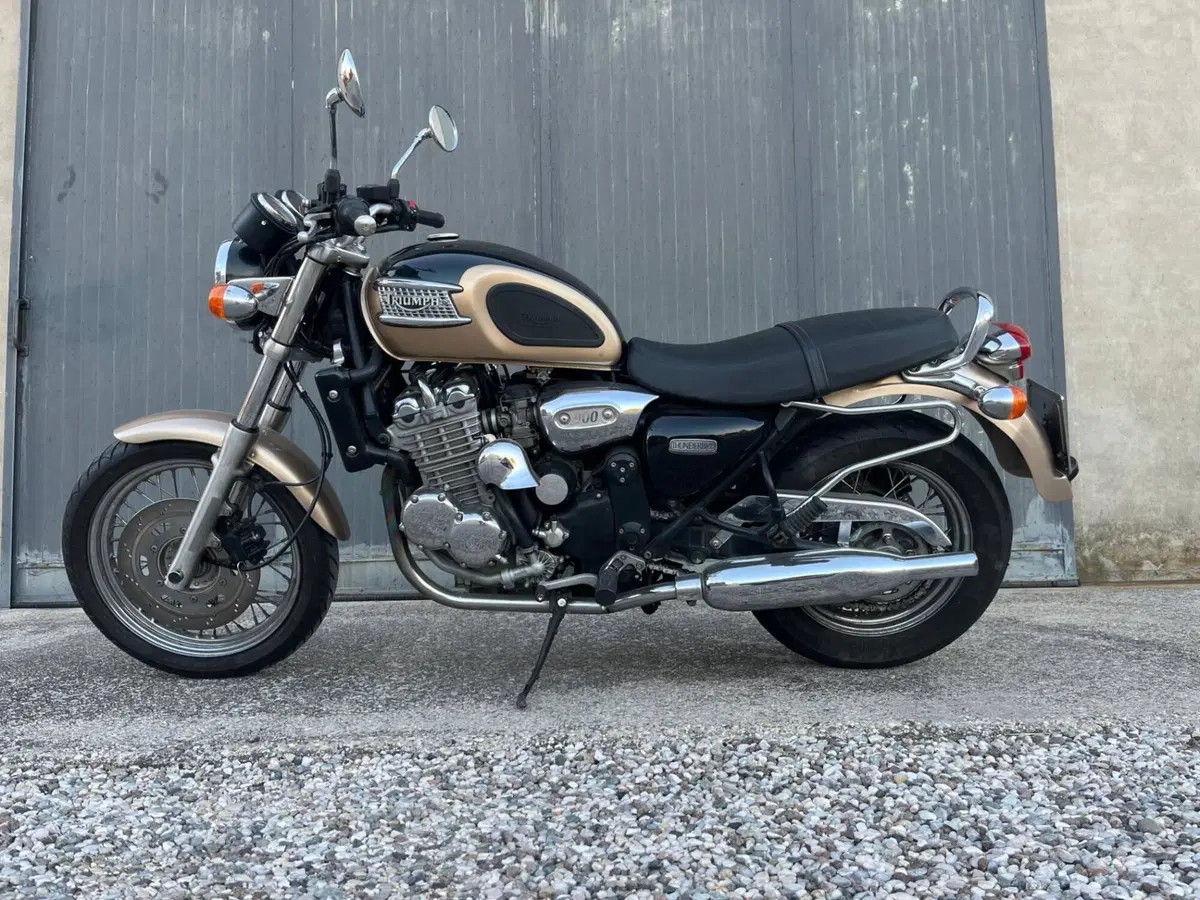 Triumph Thunderbird 900 (1995 - 01)