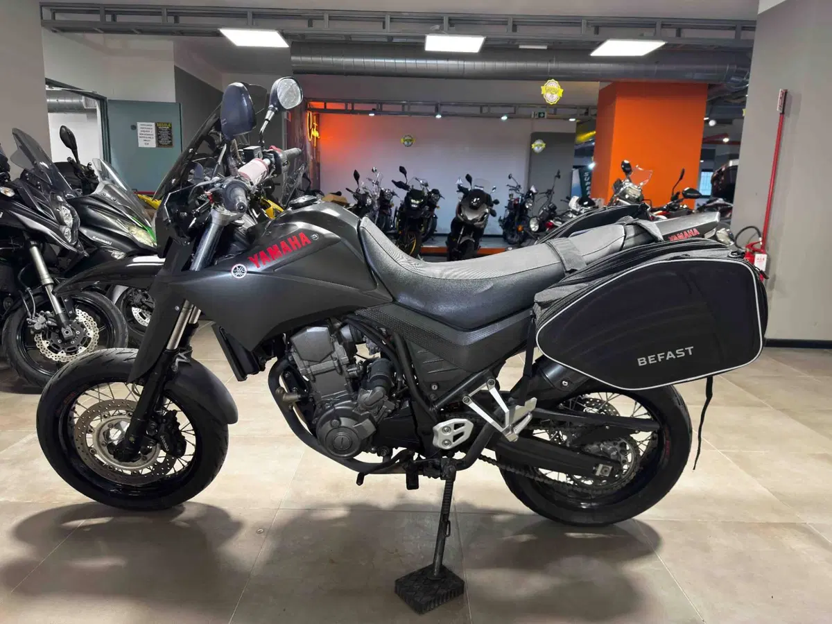 Yamaha XT 660 X (2004 - 16) (4)