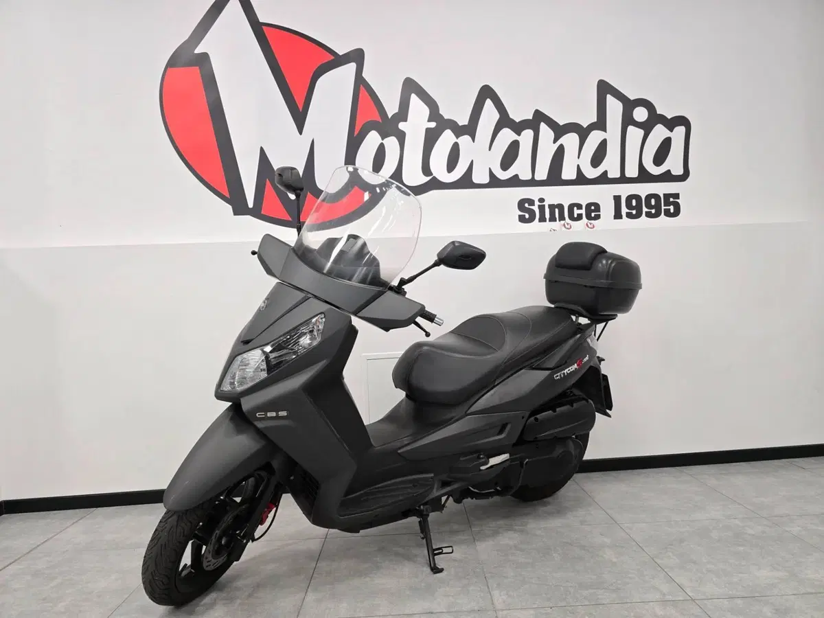 Sym CityCom 300 S (2015 - 17) (3)