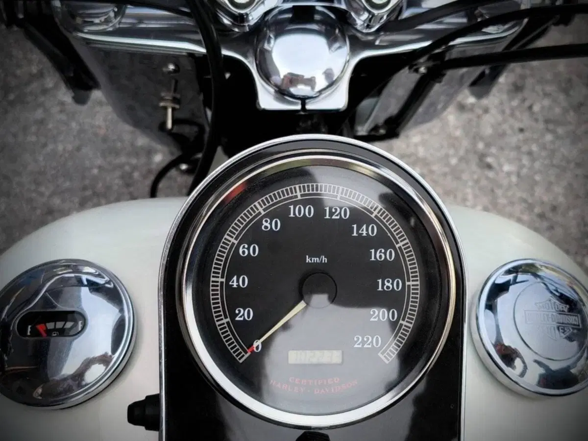 Harley-Davidson 1450 Heritage Classic (1999 - 02) - FLSTC (5)