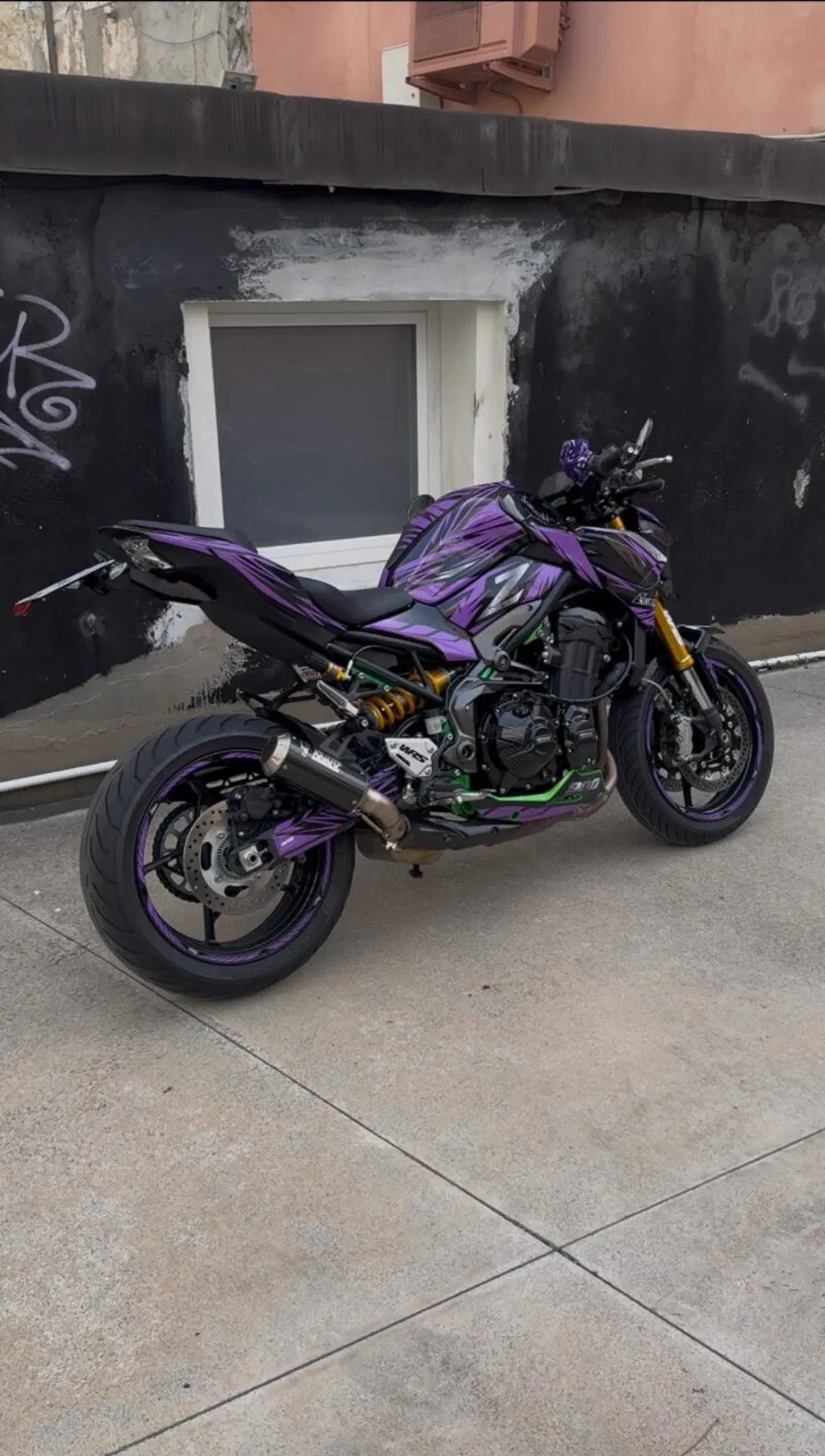 Kawasaki Z 900 SE Performance (2023 - 24)