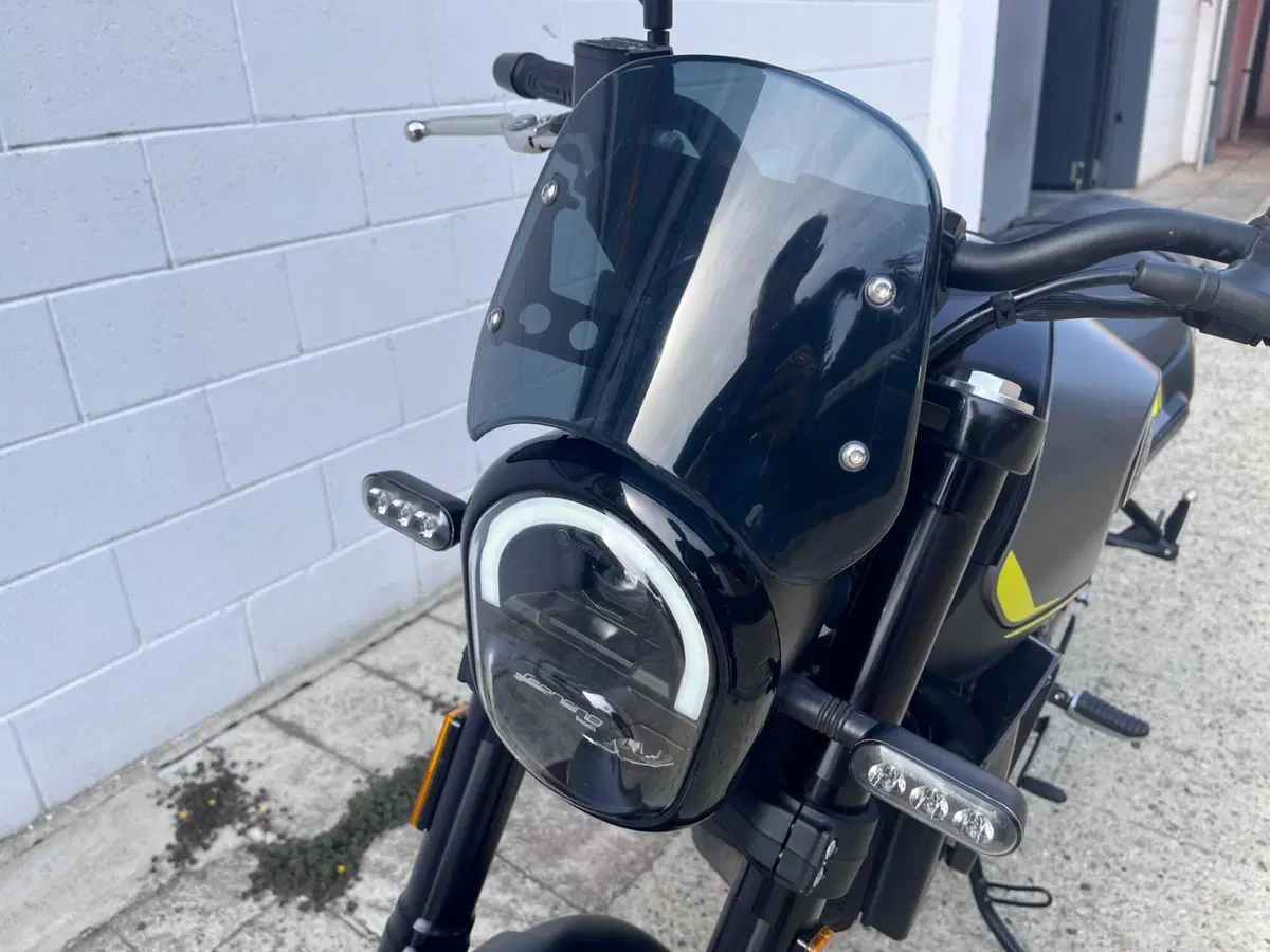 Benelli Leoncino 250 (2021 - 25) (4)