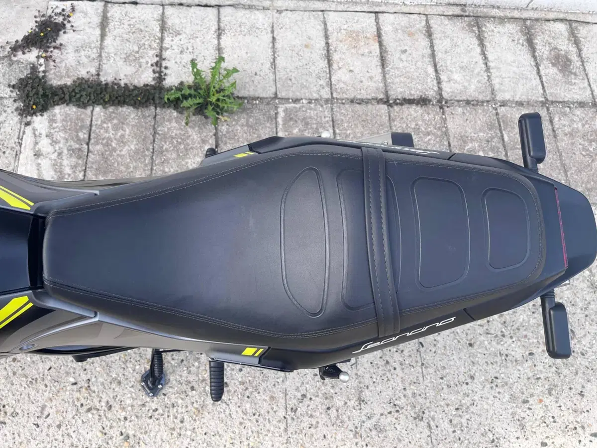 Benelli Leoncino 250 (2021 - 25) (8)