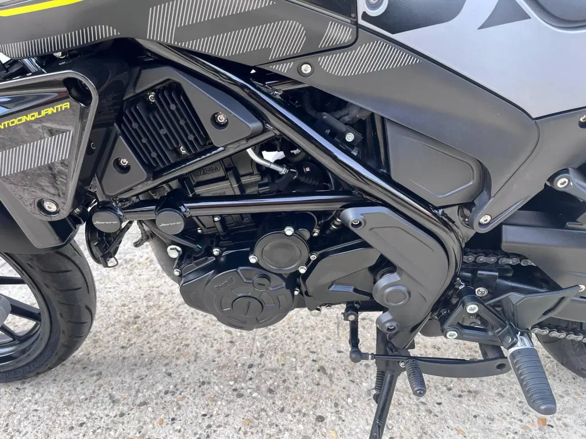 Benelli Leoncino 250 (2021 - 25) (11)