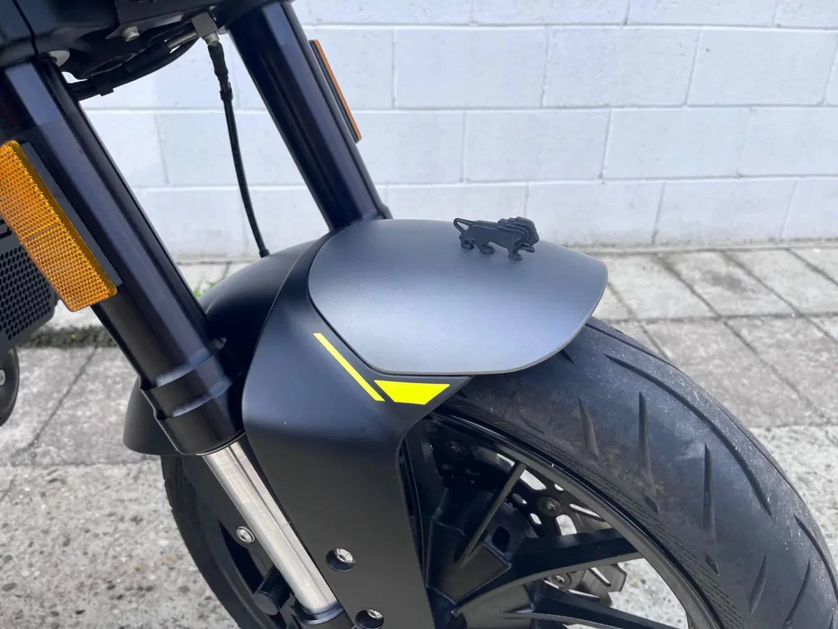 Benelli Leoncino 250 (2021 - 25) (12)