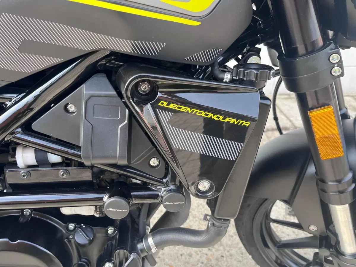 Benelli Leoncino 250 (2021 - 25) (10)
