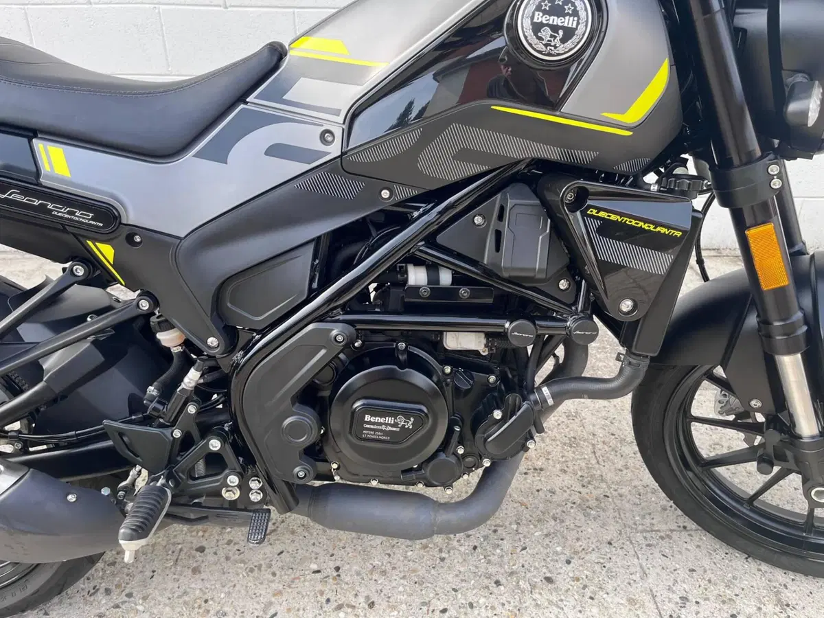 Benelli Leoncino 250 (2021 - 25) (9)