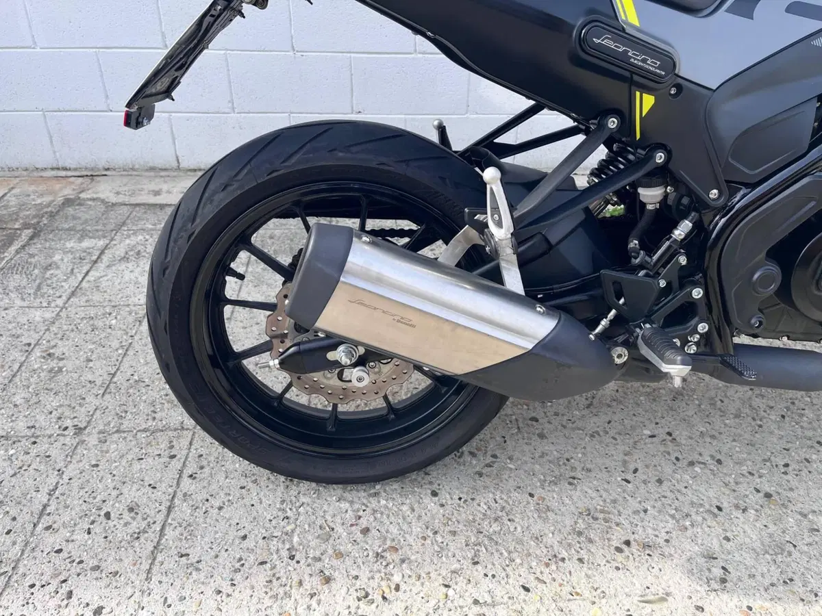 Benelli Leoncino 250 (2021 - 25) (13)
