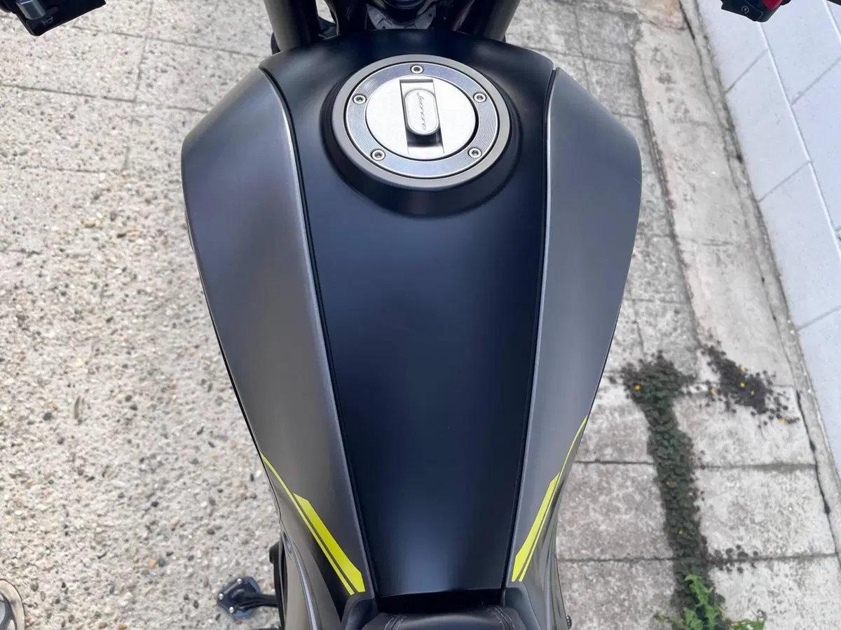 Benelli Leoncino 250 (2021 - 25) (7)