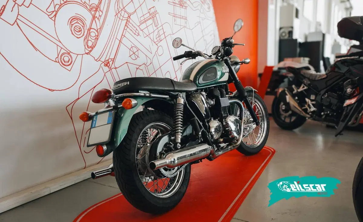 Triumph Bonneville T100 (2008 - 16) (5)