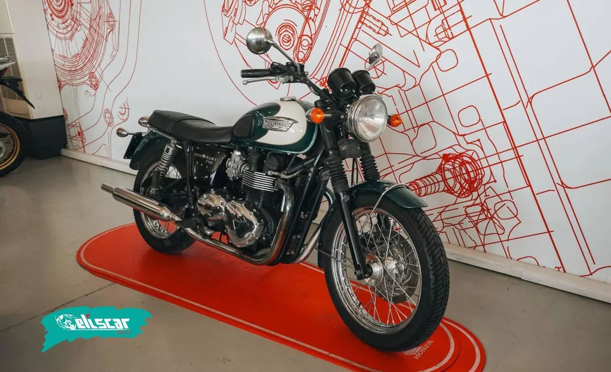 Triumph Bonneville T100 (2008 - 16) (2)