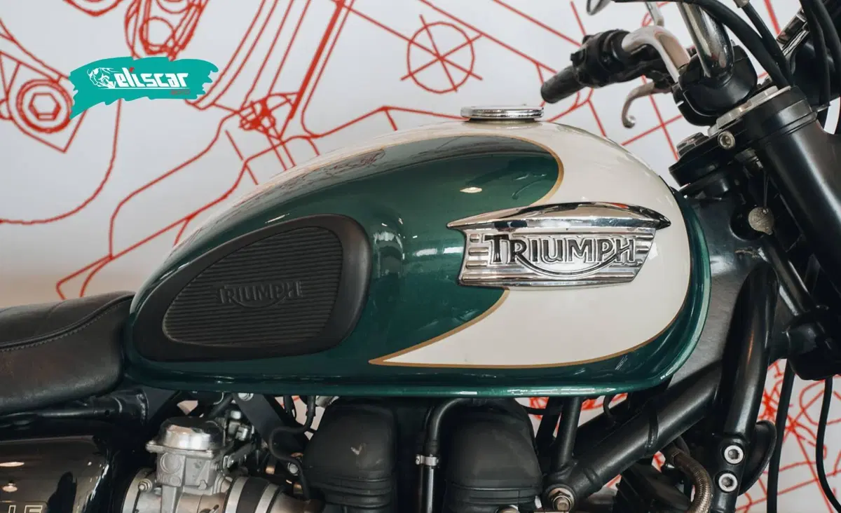 Triumph Bonneville T100 (2008 - 16) (8)