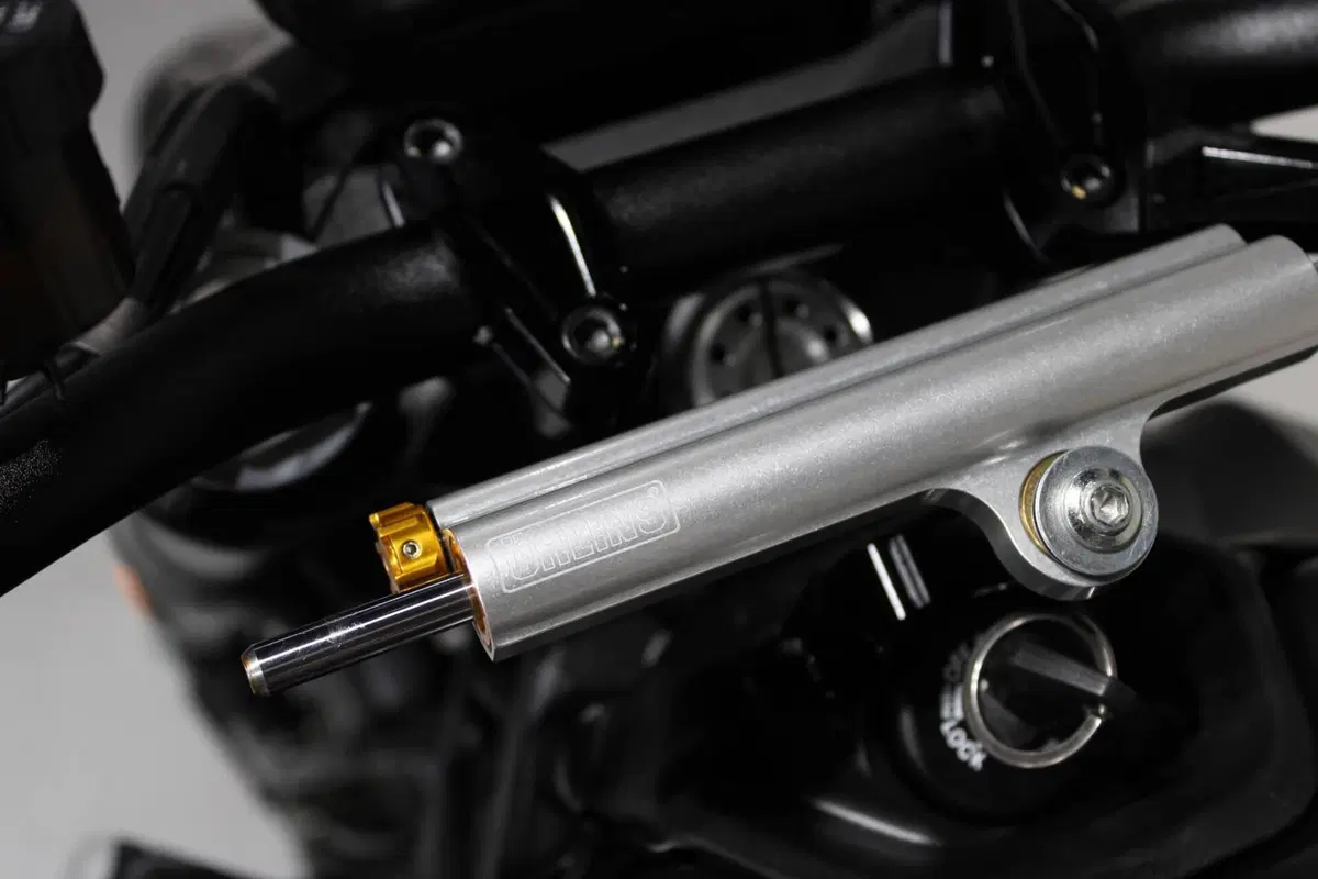 Ducati Monster 937 (2021 - 25) (7)