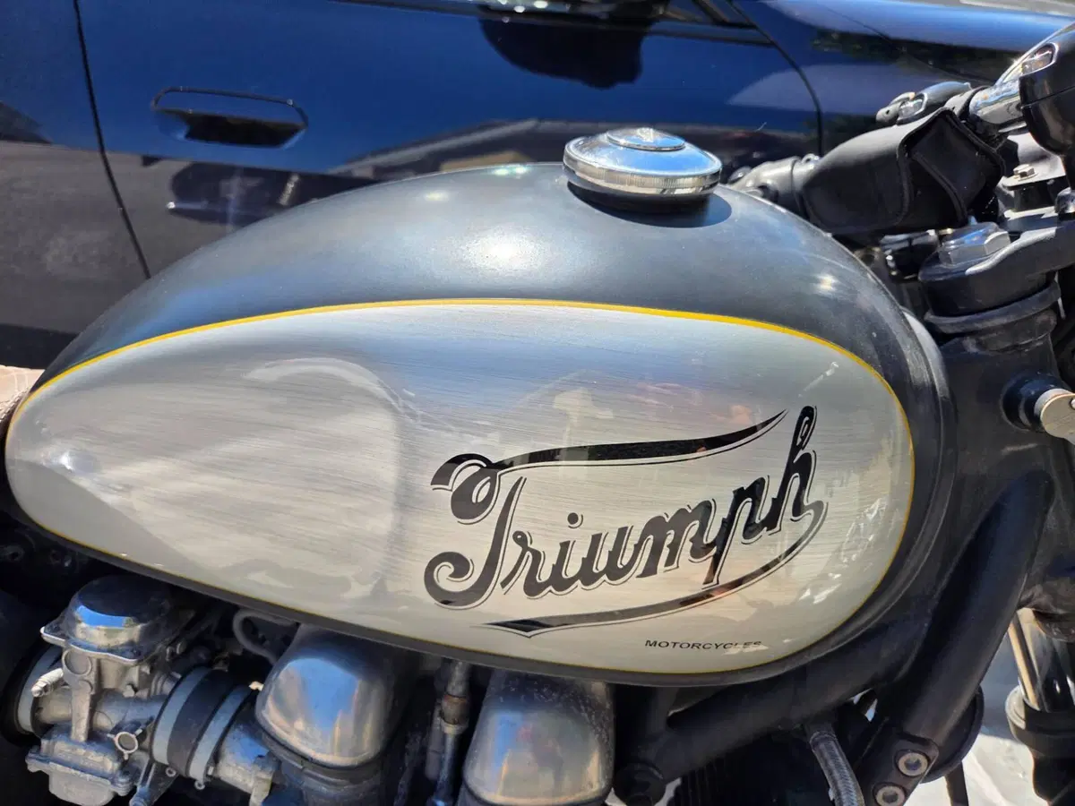 Triumph Thruxton 900 (2004 - 15) (3)