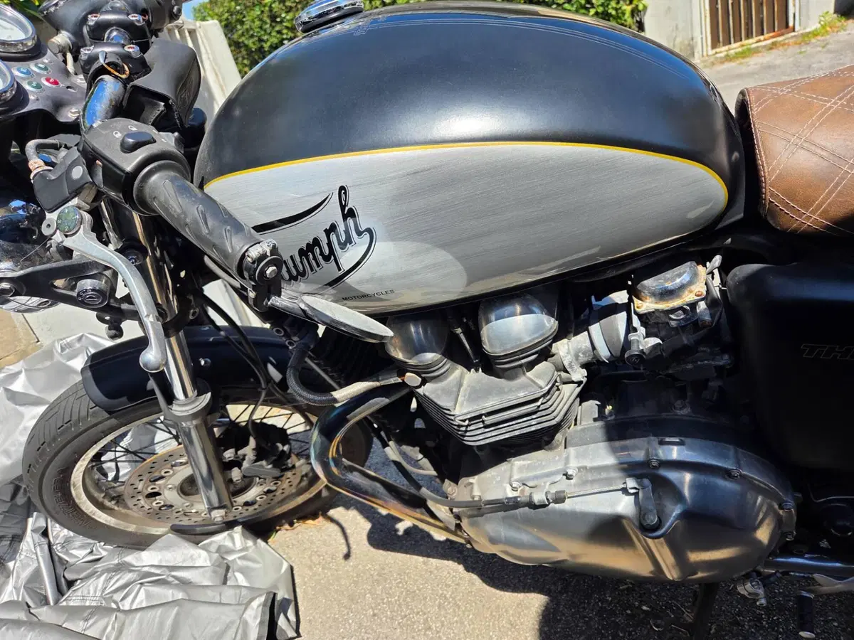 Triumph Thruxton 900 (2004 - 15) (5)
