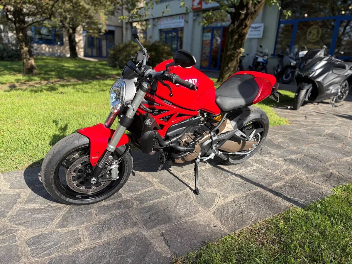 Ducati Monster 821 ABS (2014 - 17) (2)
