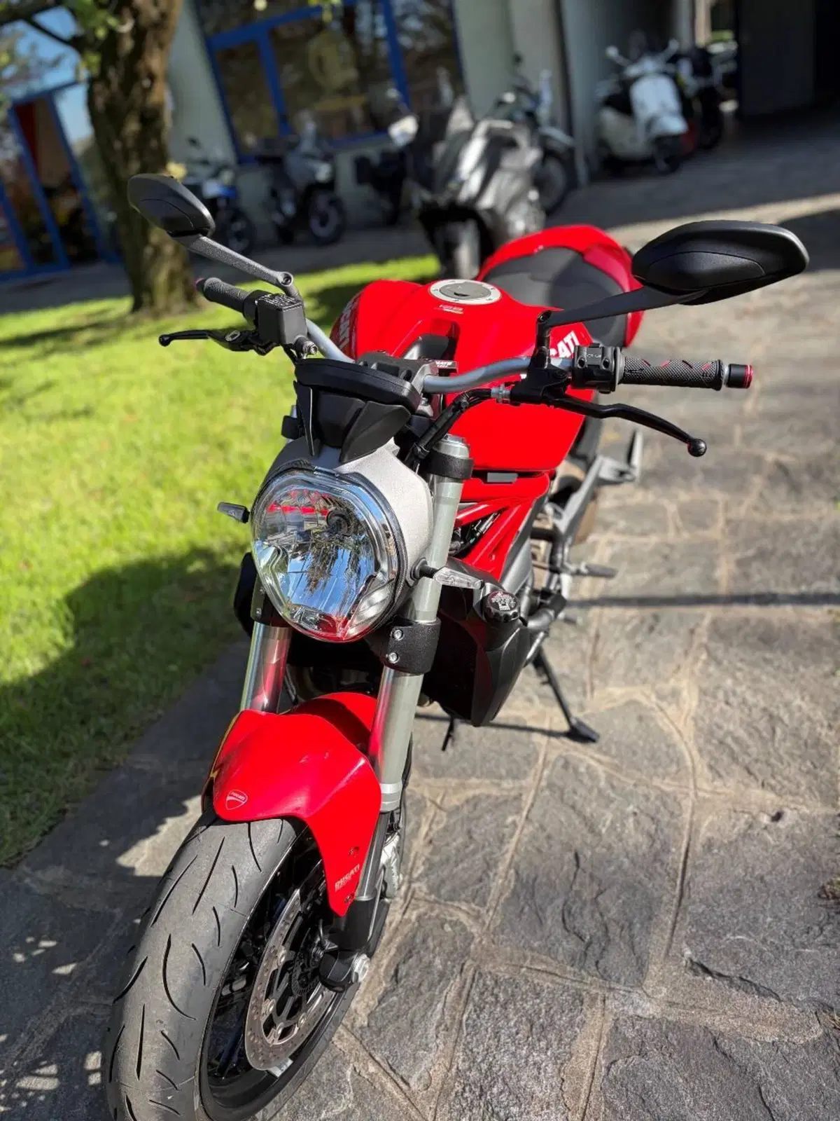 Ducati Monster 821 ABS (2014 - 17) (3)
