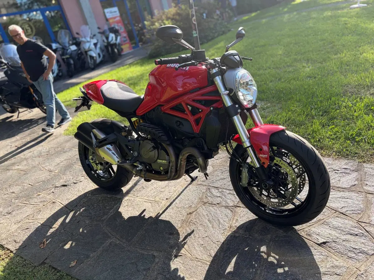 Ducati Monster 821 ABS (2014 - 17) (4)
