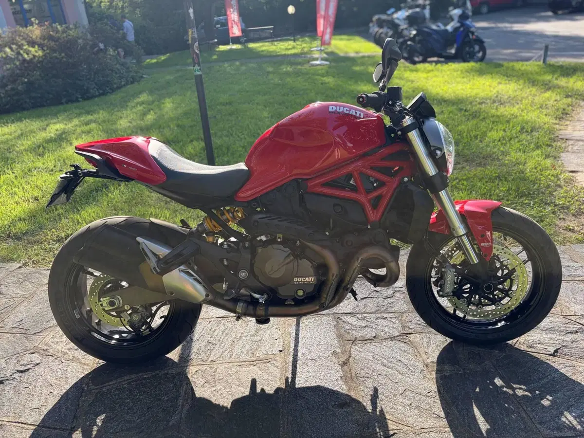Ducati Monster 821 ABS (2014 - 17) (5)