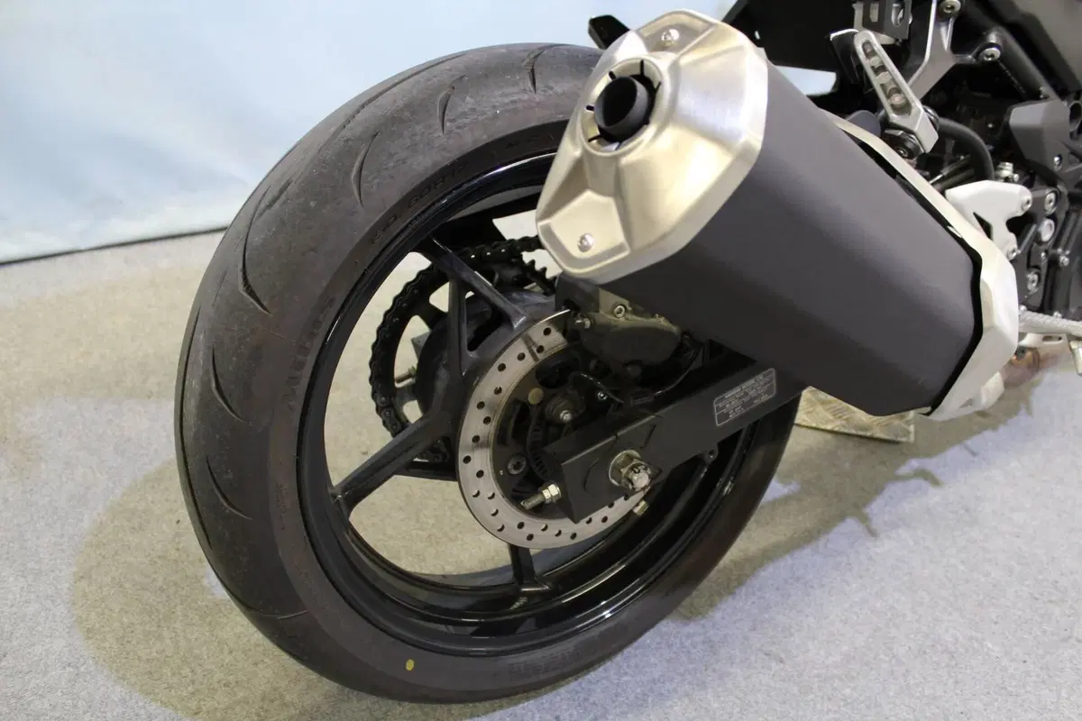 Kawasaki Z 500 (2024 - 26) (6)