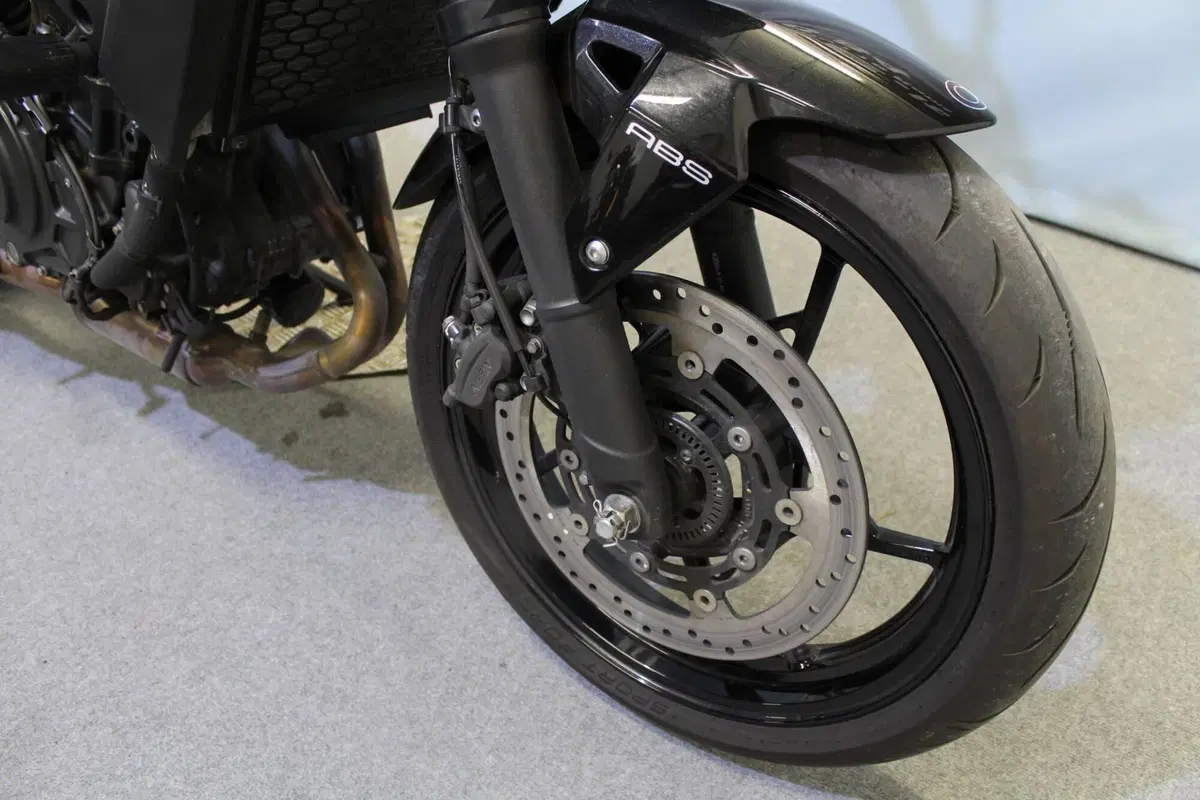 Kawasaki Z 500 (2024 - 26) (7)