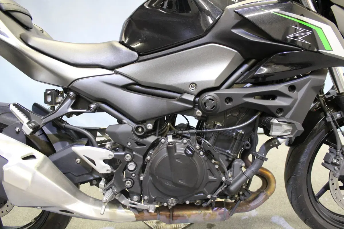 Kawasaki Z 500 (2024 - 26) (9)