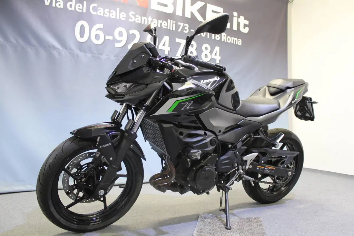 Kawasaki Z 500 (2024 - 26) (12)