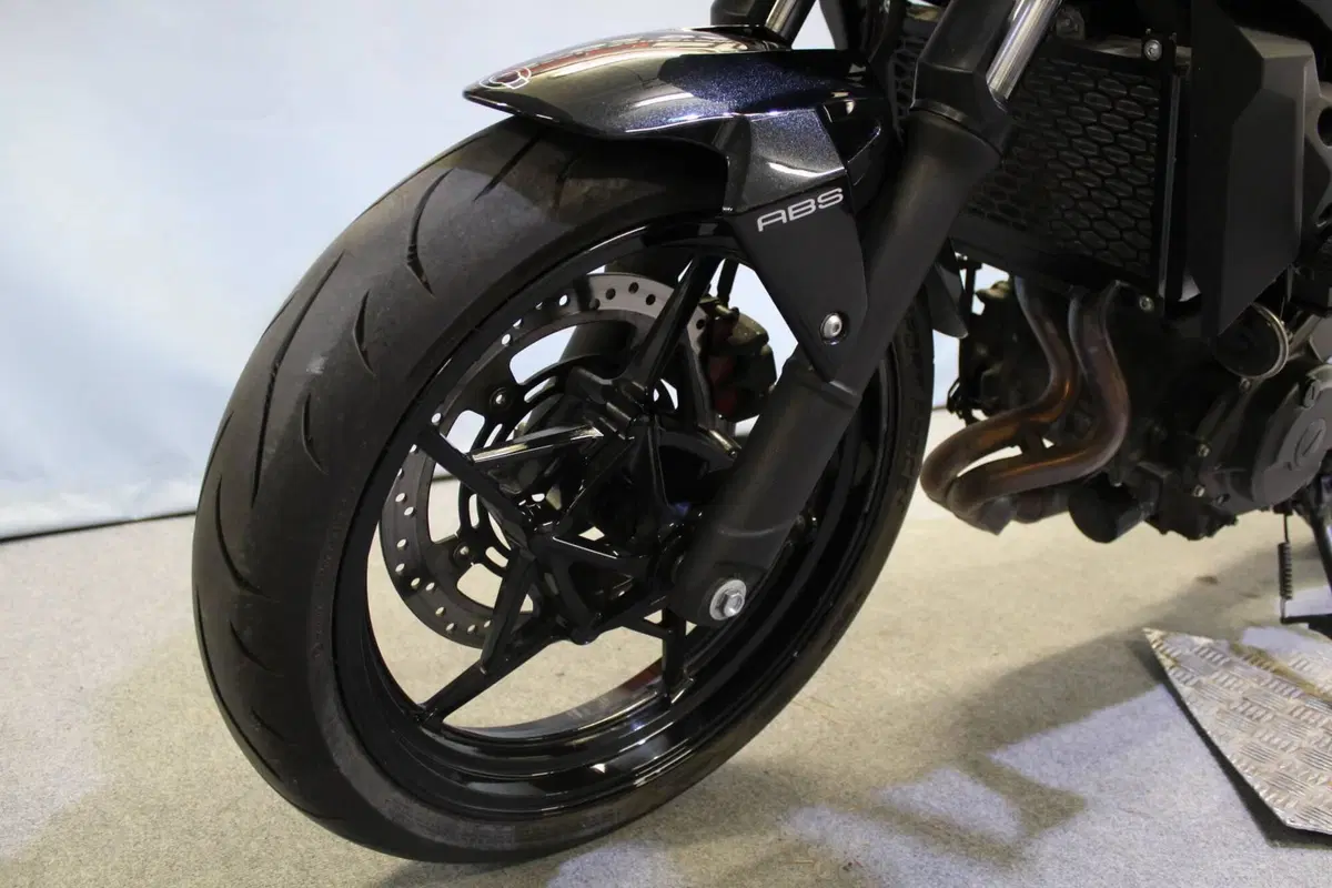 Kawasaki Z 500 (2024 - 26) (14)