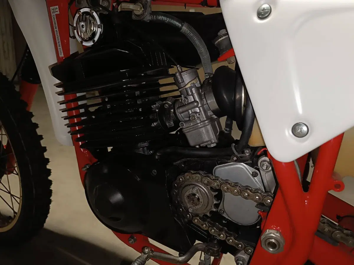 Cagiva Rx 250 (8)