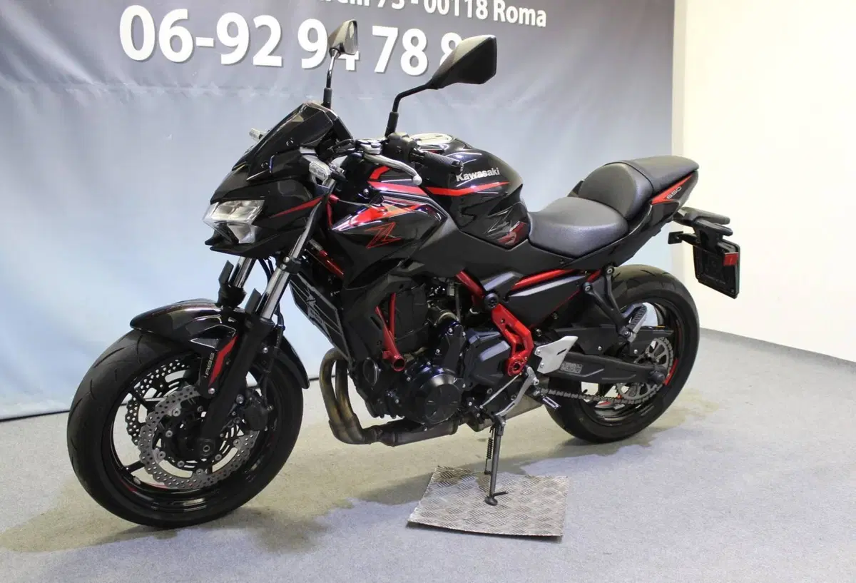 Kawasaki Z 650 (2025 - 26) (11)