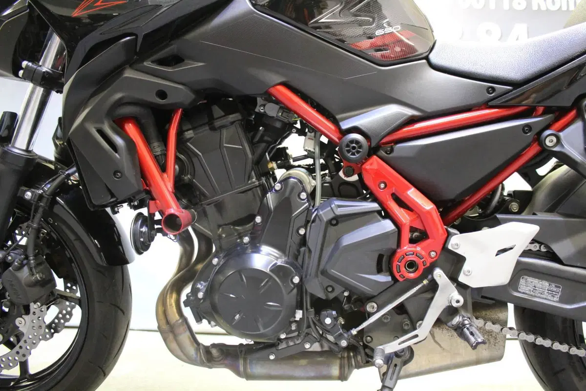 Kawasaki Z 650 (2025 - 26) (15)