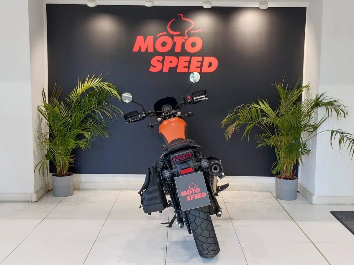Honda CL500 (2025 - 26) (2)