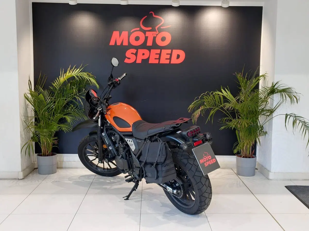 Honda CL500 (2025 - 26) (3)