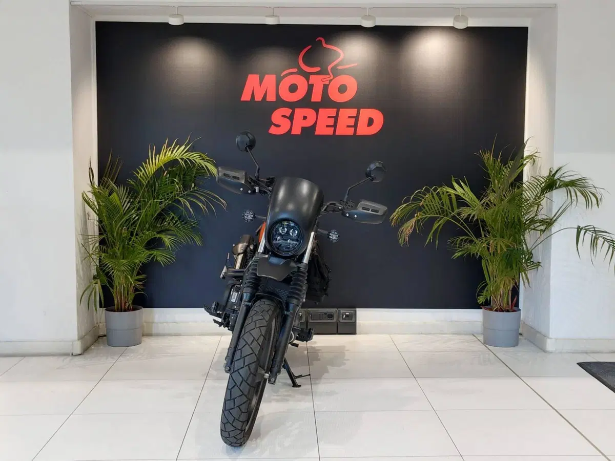 Honda CL500 (2025 - 26) (6)