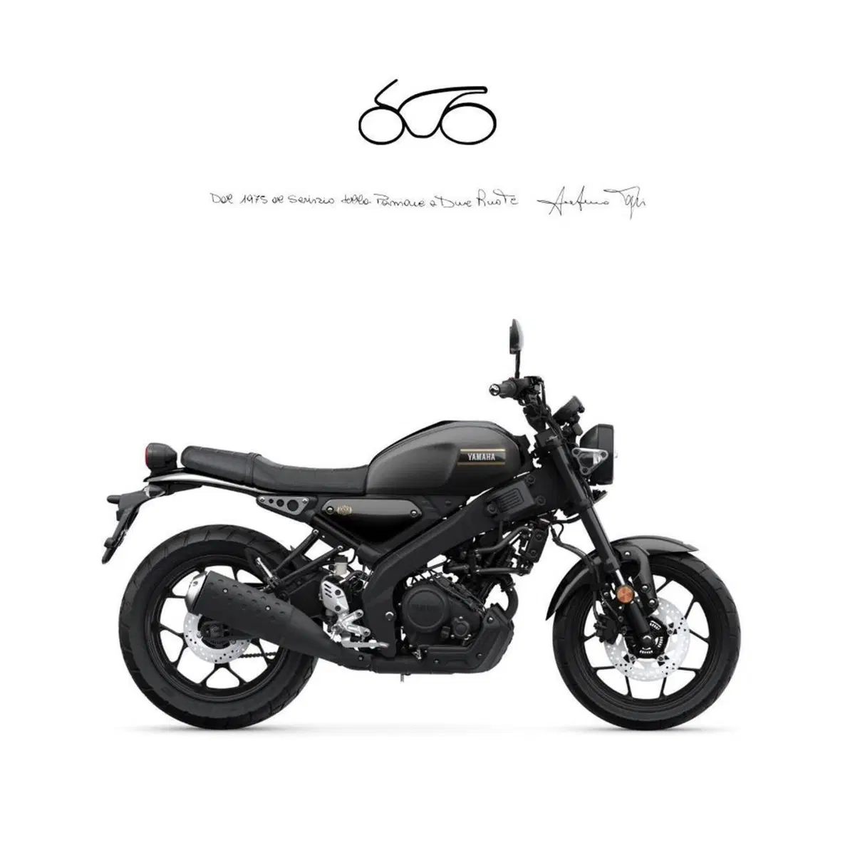 Yamaha XSR 125 (2025 - 26)