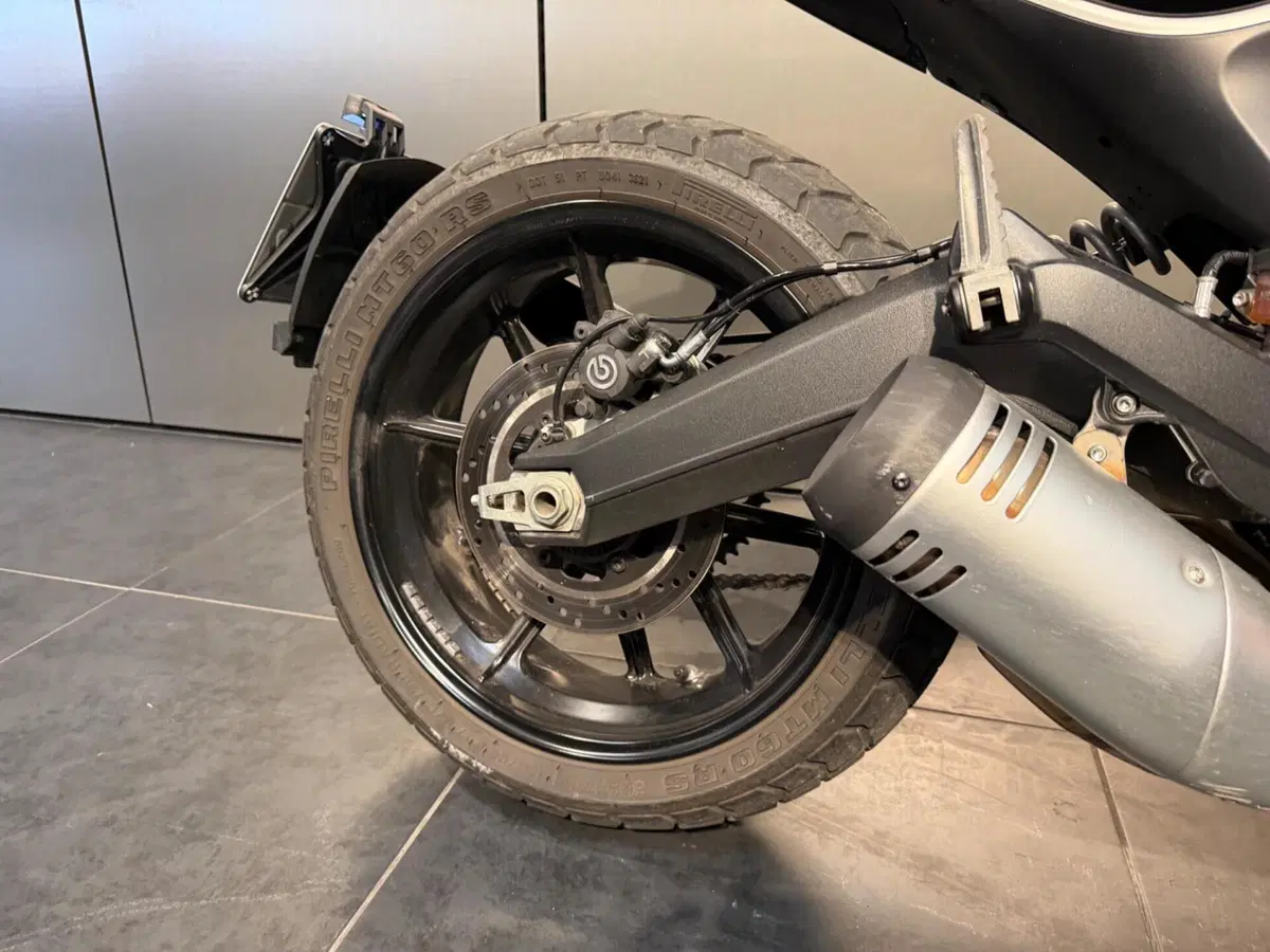 Ducati Scrambler 800 Icon (2023 - 24) (8)