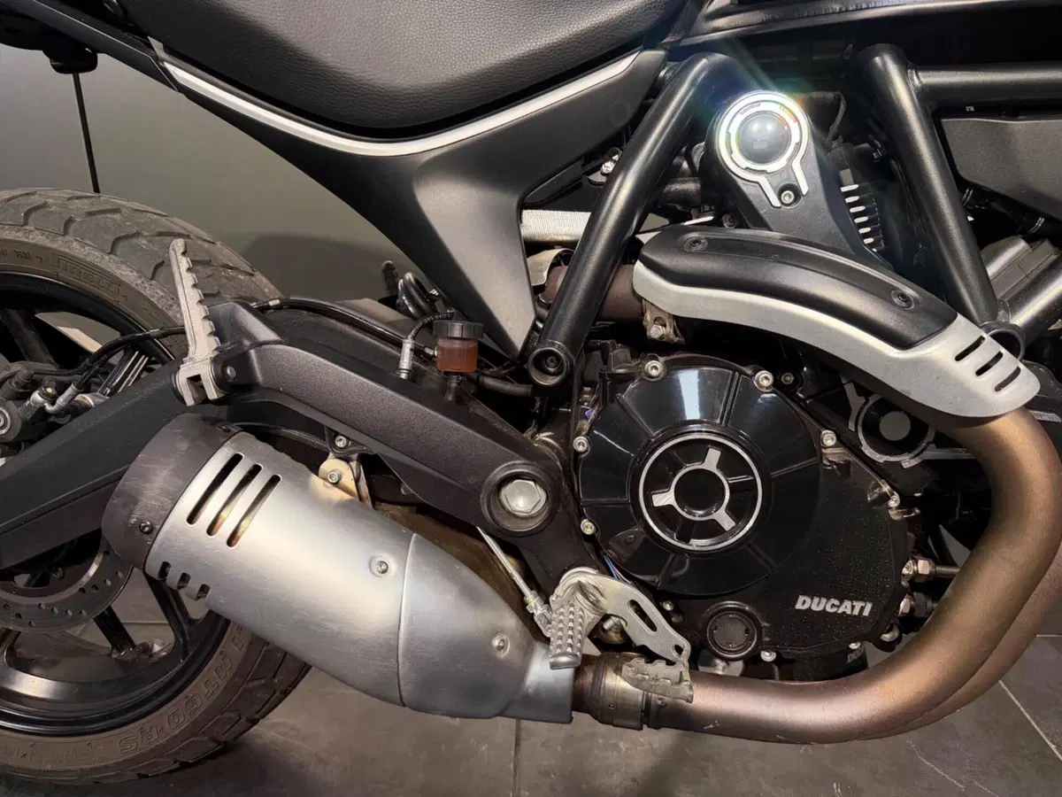 Ducati Scrambler 800 Icon (2023 - 24) (9)